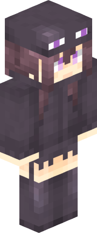 TO55 Minecraft skin